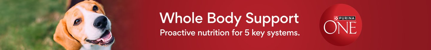 Purina ONE Whole Body Support Proactive nutrition for 5 key systems.