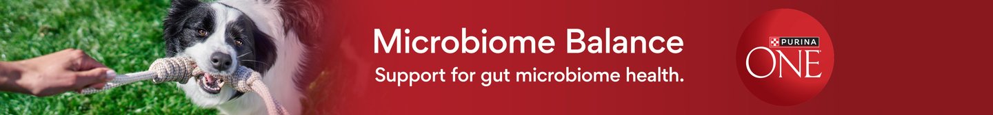 Purina ONE Microbiome Balance Support for gut microbiome health.