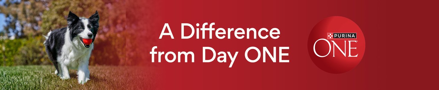 A Difference from Day ONE Purina ONE