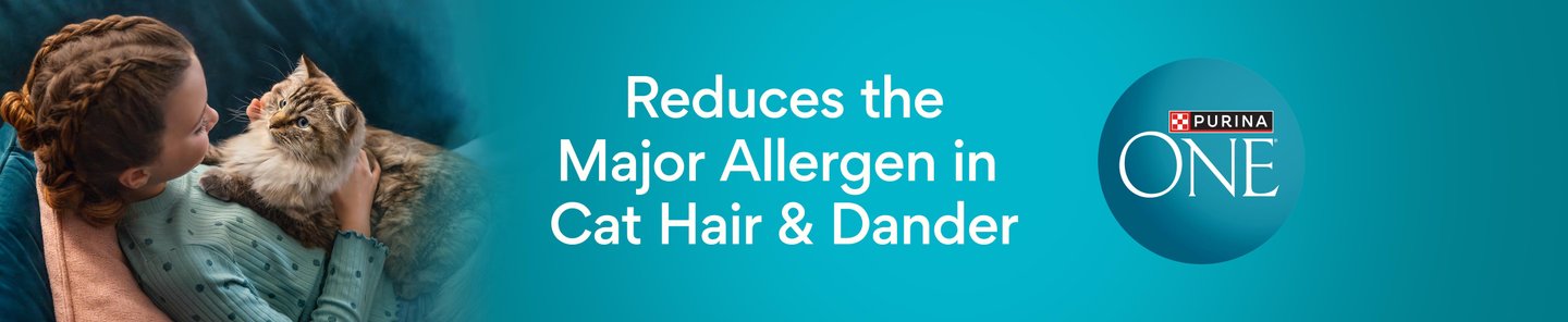 Purina ONE Reduces the Major Allergen in Cat Hair & Dander