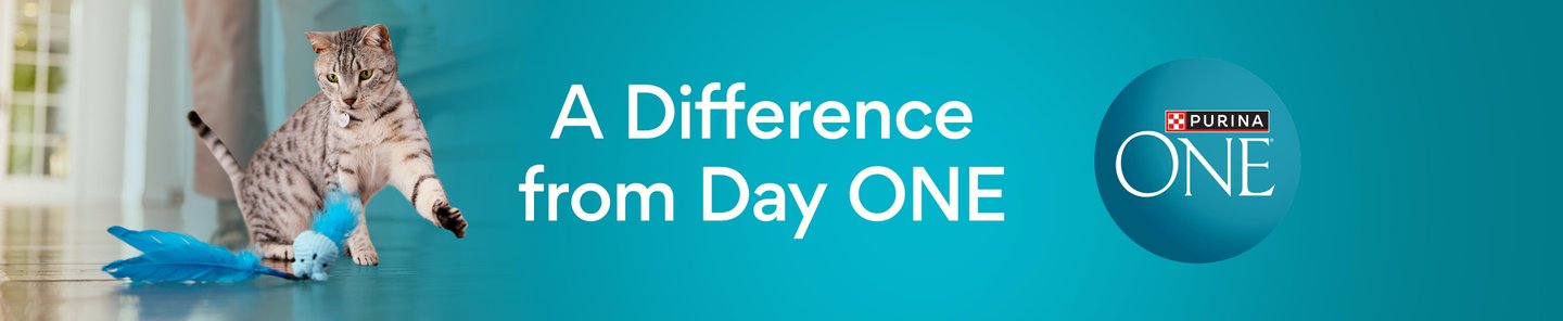 A Difference from Day ONE Purina ONE