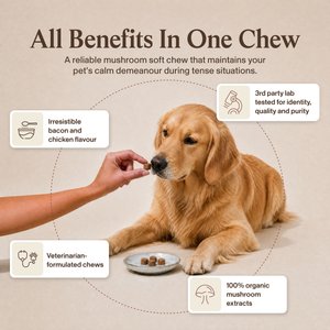 Real Mushrooms Mushroom Relax Soft Chew Calming Supplement for Dogs & Cats, 60 count