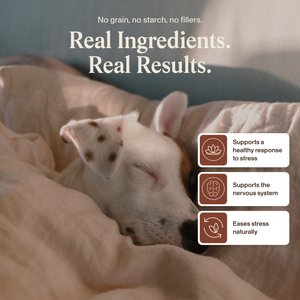 Real Mushrooms Mushroom Relax Soft Chew Calming Supplement for Dogs & Cats, 60 count