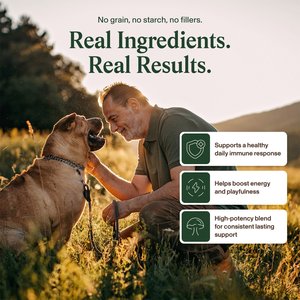 Real Mushrooms Mushroom Immune Chews Supplement for Dogs & Cats, 60 count