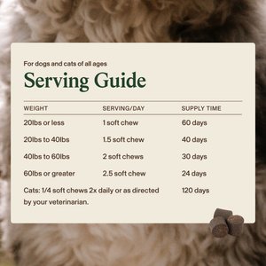 Real Mushrooms Mushroom Immune Chews Supplement for Dogs & Cats, 60 count