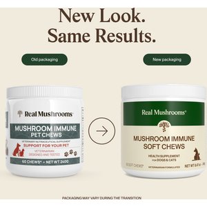 Real Mushrooms Mushroom Immune Chews Supplement for Dogs & Cats, 60 count