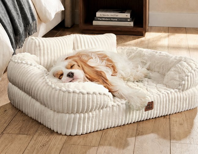 CARHARTT DOG BEDS (Free Shipping) | Chewy