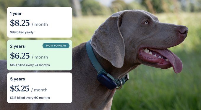 Petlink PETLINK Waterproof Dog GPS & Activity Tracker with Virtual Fence, Blue ...