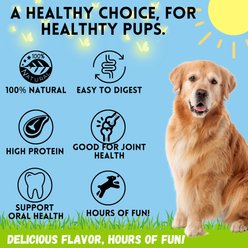 Bullysticks And More! 10 to 12-inch Beef Flavored Esophagus Natural Dog Chew Springs, 3 count slide 2 of 6