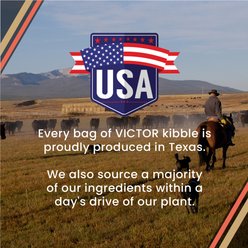 VICTOR Raw Kibble Blend Gluten-Free Fisherman's Salmon Recipe Freeze-Dried Dry Dog Food, 20-lb bag slide 2 of 9
