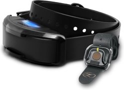 Dogtra 1900X Additional Receiver, Neck: 13 inches & Up, Black