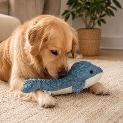 Our Green House Whale Organic Dog Toy, Blue slide 2 of 2
