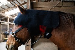 ORTHO EQUINE Red Light Horse Therapy Hood/Neck Wrap, Black slide 2 of 2