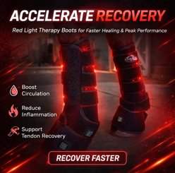ORTHO EQUINE Red light Horse Therapy Tendon Wrap Single, Left, Black slide 2 of 3