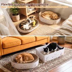 PatiencET 3-in-1 Exercise Scratcher Cat Toy with Oval Bed, White, Large slide 2 of 7