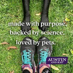 Austin and Kat Mighty Mushrooms Tincture Immune Supplement for Dogs, 1-fl oz bottle slide 2 of 4