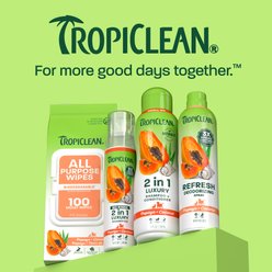TropiClean 2-in-1 Moisturizing Detangler Long Lasting Papaya Scent Dog Shampoo & Conditioner, 20-fl oz bottle slide 2 of 9