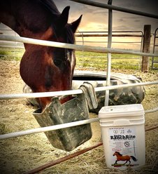 Circle 5 Feeds RanchRite Priority for Equine Digestive Hindgut Health Coconut Powder Horse Vitamins, 20-lb bucket slide 2 of 7