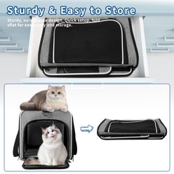 DOPZER TSA Airline Approved Collapsible Travel Escape-Proof Bag Dog & Cat Carrier, 17 x 11 x 11-in, Grey slide 2 of 9