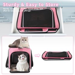 DOPZER TSA Airline Approved Collapsible Travel Escape-Proof Bag Dog & Cat Carrier, 17 x 11 x 11-in, Pink slide 2 of 9