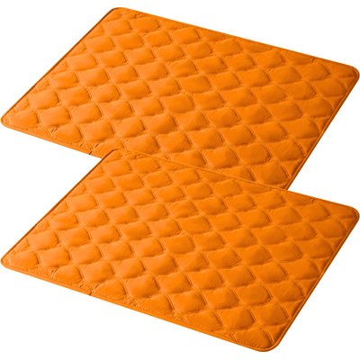 Allisandro Allisandro 2-Pack Double-Sided Absorbent Washable Dog & Cat Pee Pad Blankets, Orange, 70 x 30-in