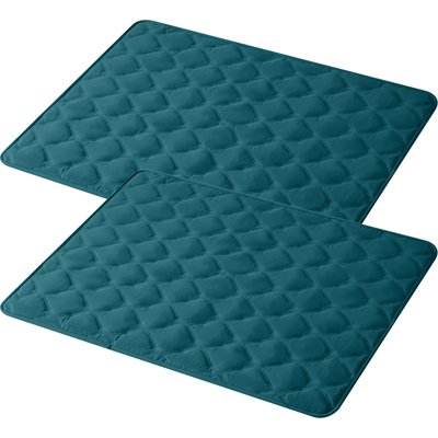 Allisandro Allisandro 2-Pack Double-Sided Absorbent Washable Dog & Cat Pee Pad Blankets, Green, 70 x 30-in