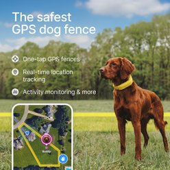 Halo Collar 5 Wireless Dog Fence System & GPS Collar, Orchid slide 2 of 7