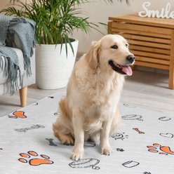 AIPERRO Cute Prints Washable Dog Pee Pads, 18 x 24-in, 2 count