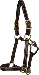 Huntley Equestrian Fancy Stitched Padded Horse Leather Halter, Cob