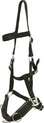Huntley Equestrian Padded Lunging Horse Cavesson, Pony