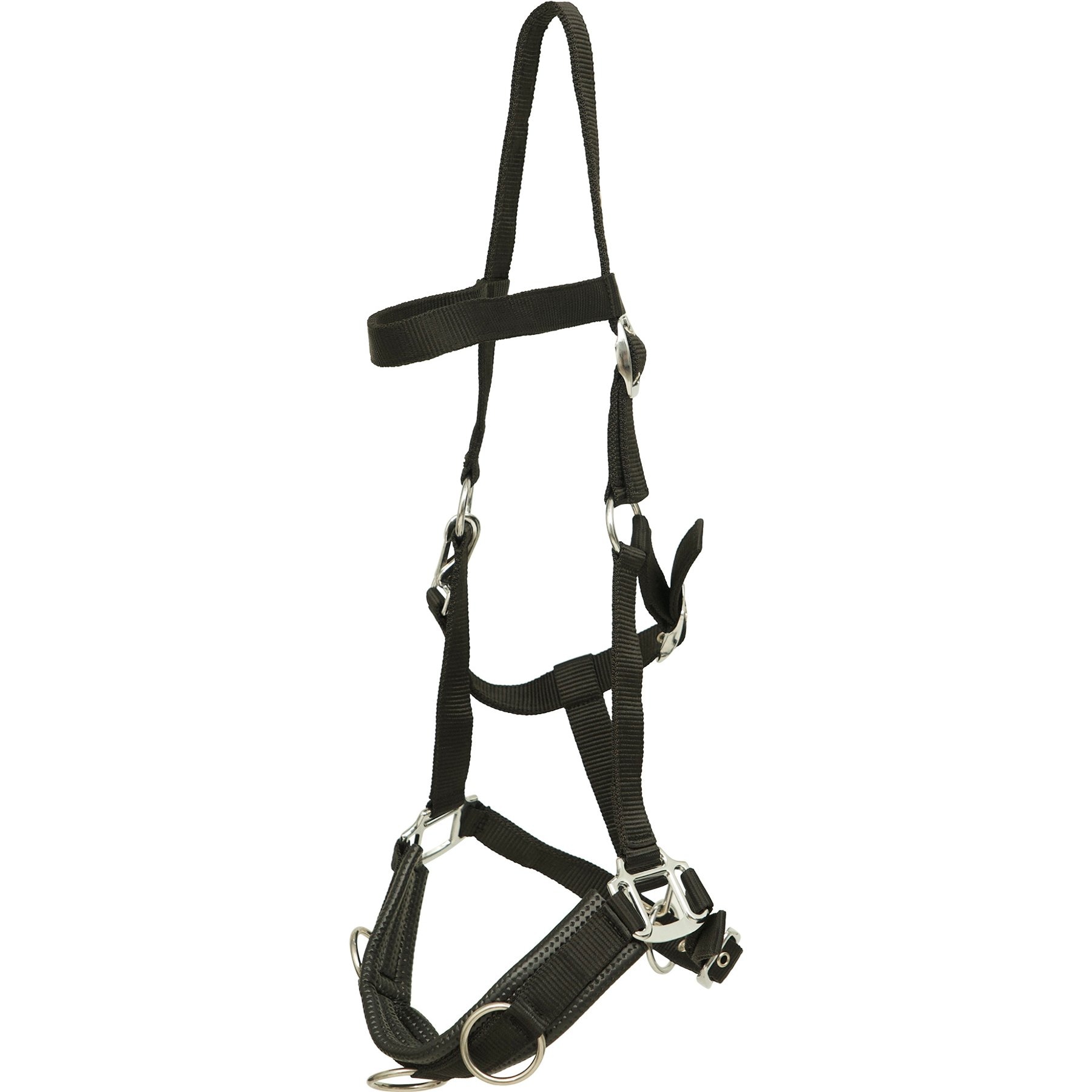 Huntley Equestrian Padded Lunging Horse Cavesson, Pony