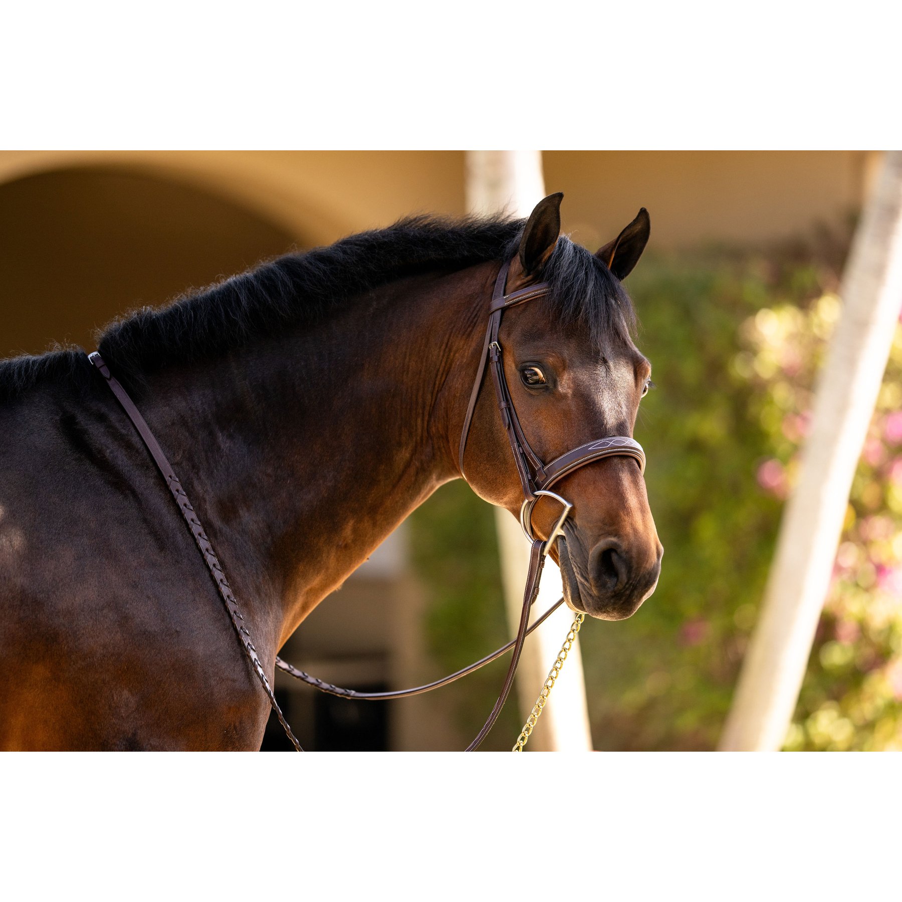 Huntley Equestrian Fancy Stitched Padded Traditional Horse Bridle, Full