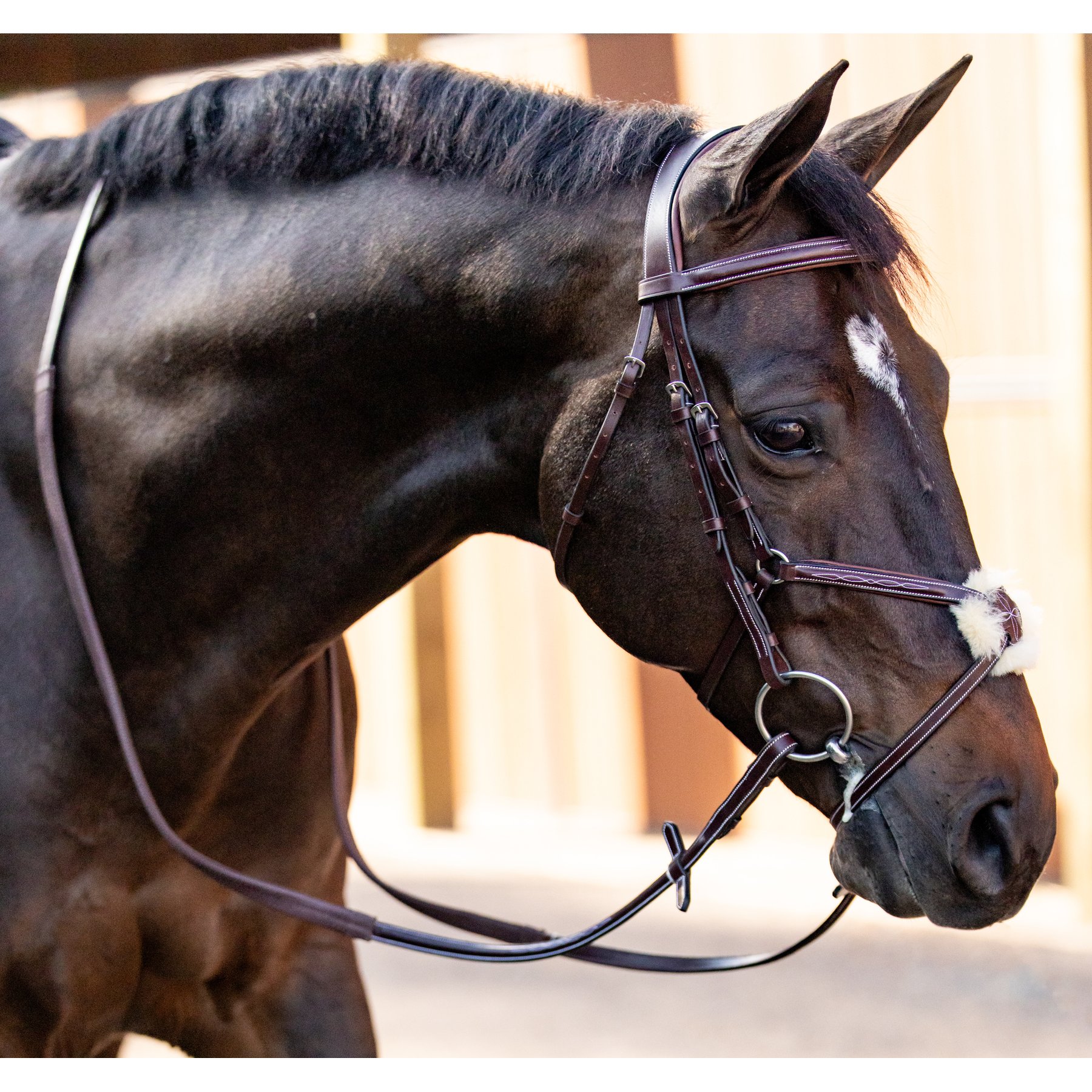 Huntley Equestrian Sedgwick Leather Padded Monocrown Horse Figure 8 Bridle, Full