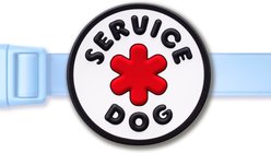 Jiby Dog Crew Service Jiby Dog Collar Accessory