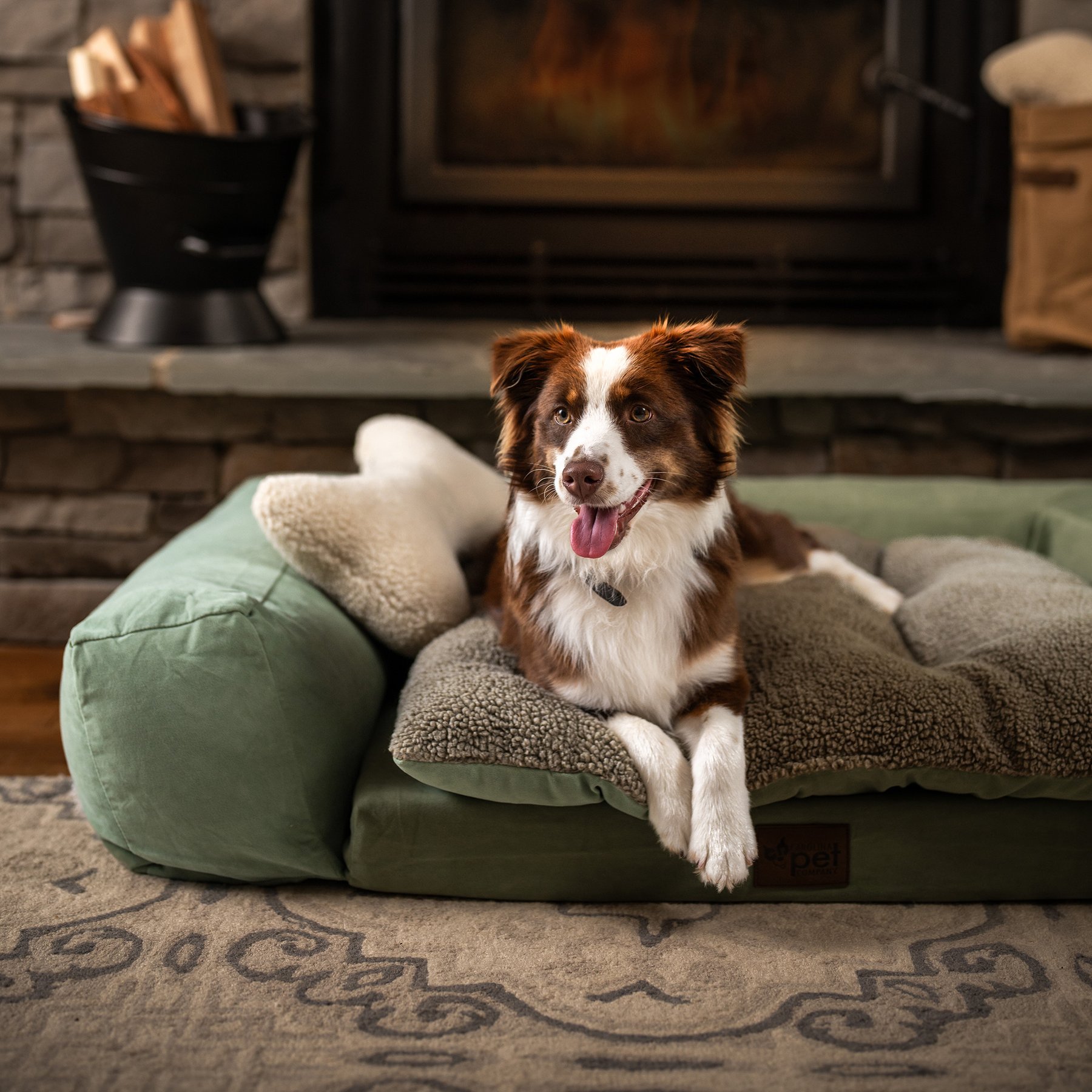 Carolina Pet Couch Dog Bed with Removable Cover, Green, Large
