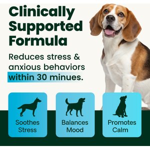 VetriScience Composure Calm & Confident Thunderstorms Support Bacon Flavored Chews Calming & Anxiety Supplement for Dogs, 120 count