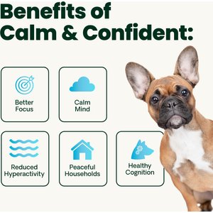 VetriScience Composure Calm & Confident Thunderstorms Support Bacon Flavored Chews Calming & Anxiety Supplement for Dogs, 120 count