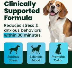 VetriScience Composure Calm & Confident Thunderstorms Support Unflavored Liquid Calming & Anxiety Supplement for Dogs & Cats, 8‑fl oz bottle slide 2 of 9