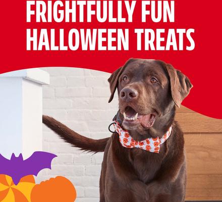 Show full view: Milk-Bone Spooky Biscuits Halloween Dog Treats, 24-oz pail slide 5 of 10