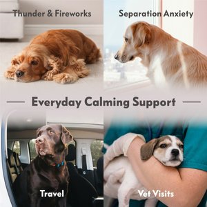 Paw Inspired Calming Compression Anxiety Vest for Dogs, X-Large