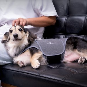 Paw Inspired Calming Compression Anxiety Vest for Dogs, X-Large
