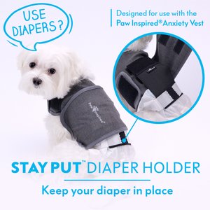 Paw Inspired Calming Compression Anxiety Vest for Dogs, X-Large