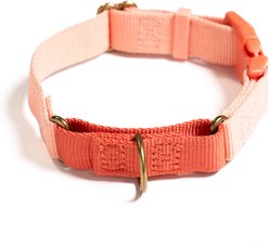 Awoo Marty Martingale Training Dog Collar, Candy, Medium: 13.5-in neck, 3/4-in wide