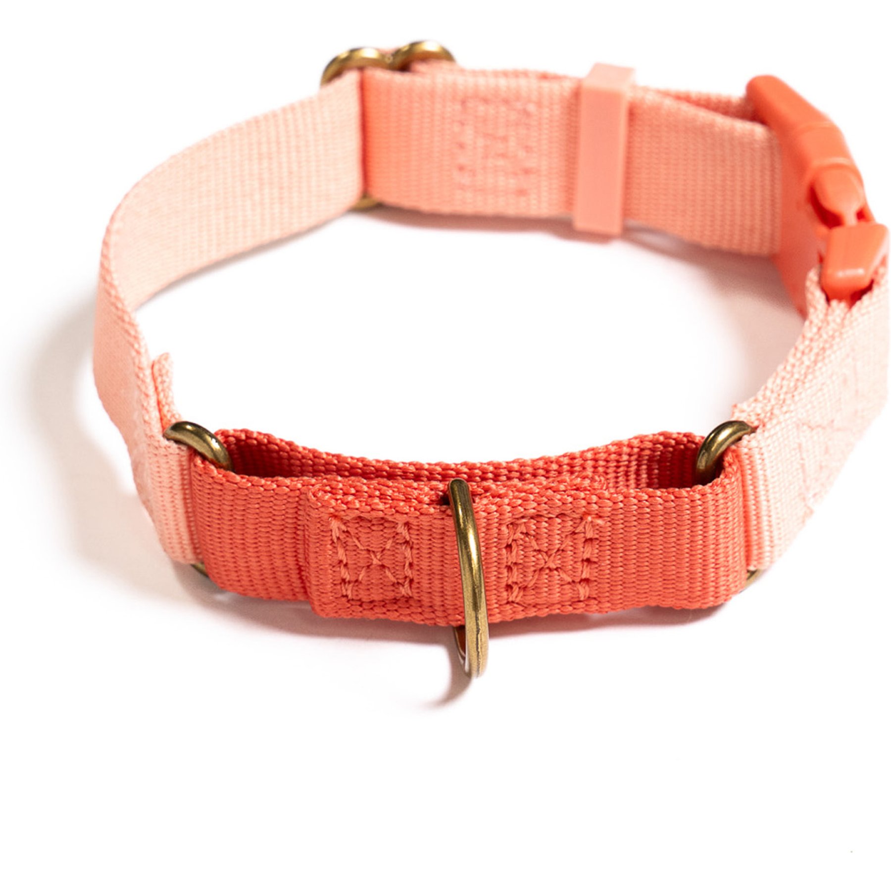 Awoo Marty Martingale Training Dog Collar, Candy, X-Small: 8.5-in neck, 1/2-in wide