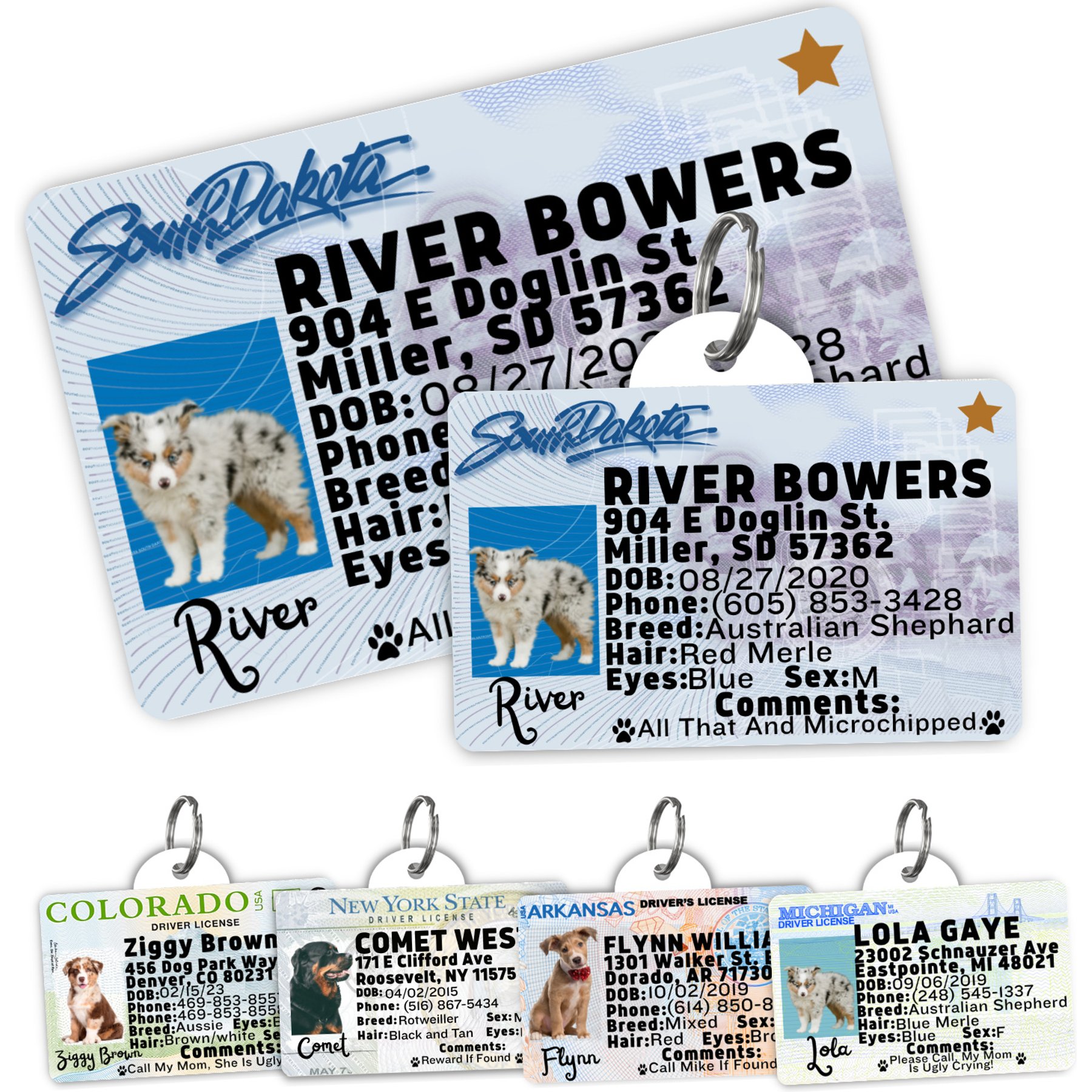 PawFurEver Pet ID License-Style Dog Tag & Wallet Card, South Dakota