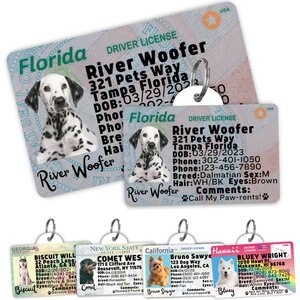 NITE IZE WearAbout Dog Clippable Tracker Holder, Bright Blue
