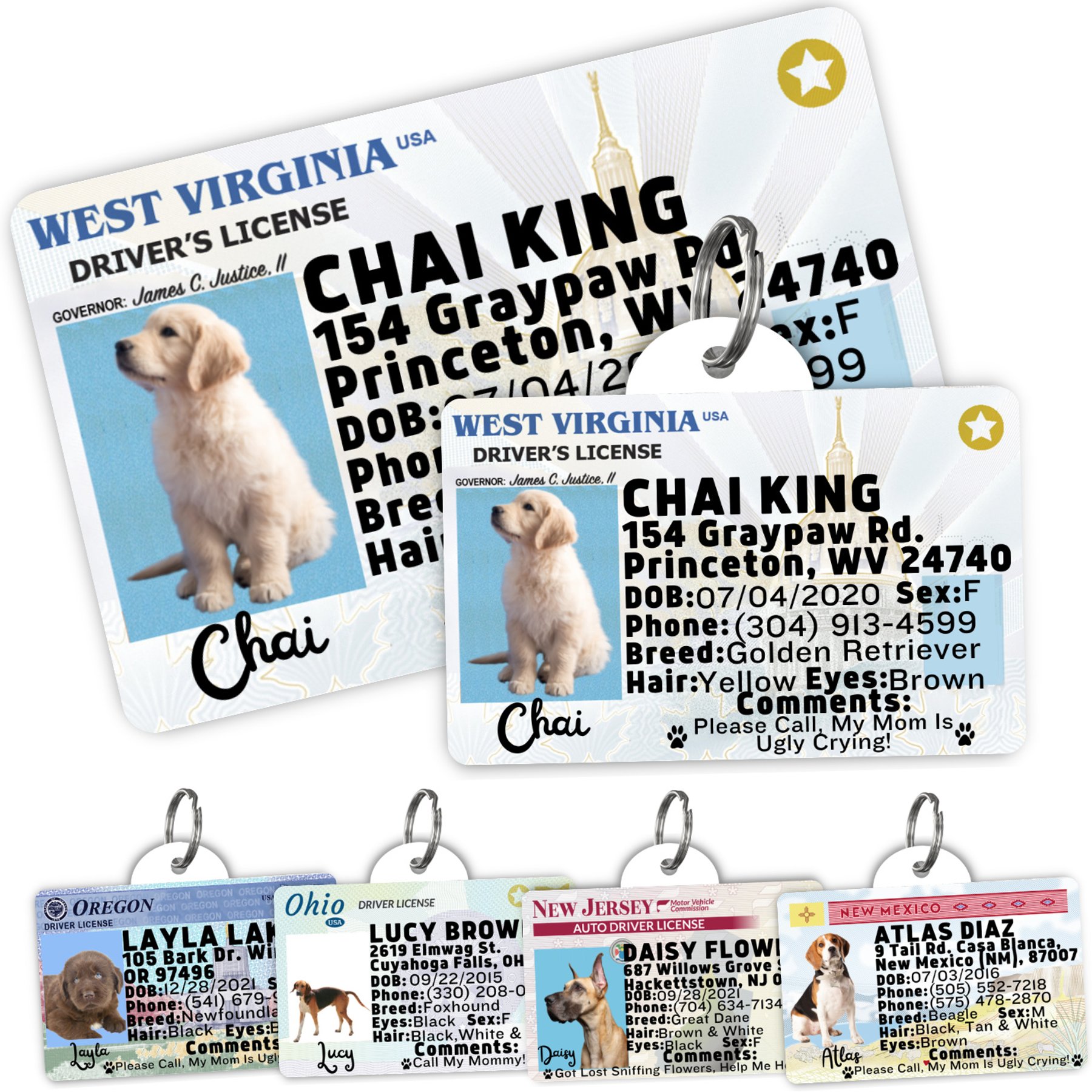 PawFurEver Pet ID License-Style Dog Tag & Wallet Card, West Virginia