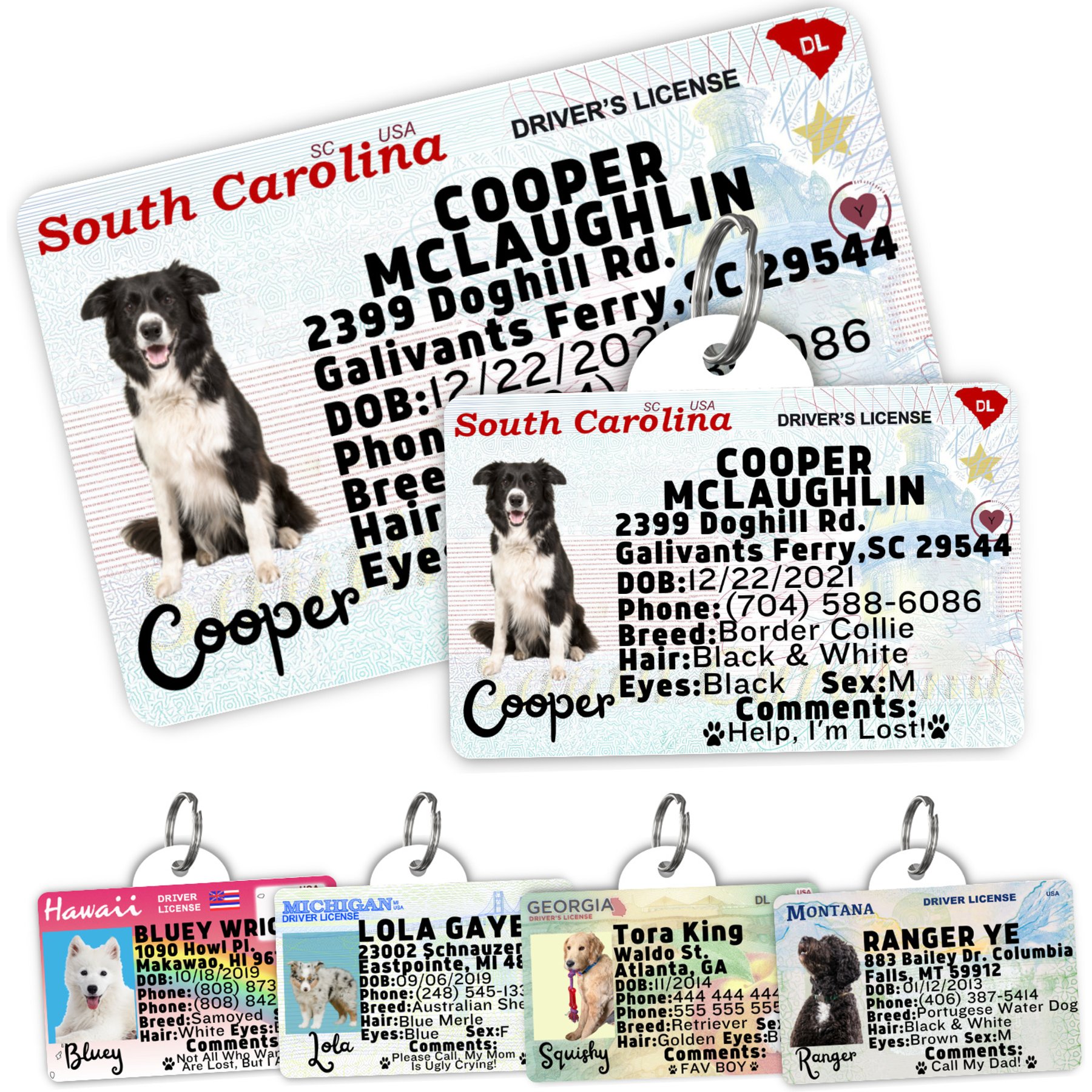 PawFurEver Pet ID License-Style Dog Tag & Wallet Card, South Carolina