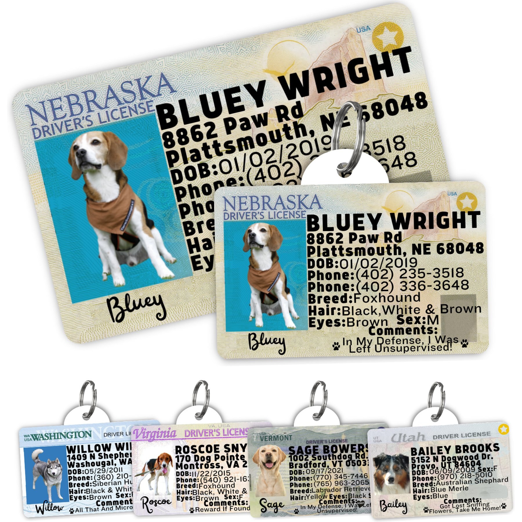 PawFurEver Pet ID License-Style Dog Tag & Wallet Card, Nebraska