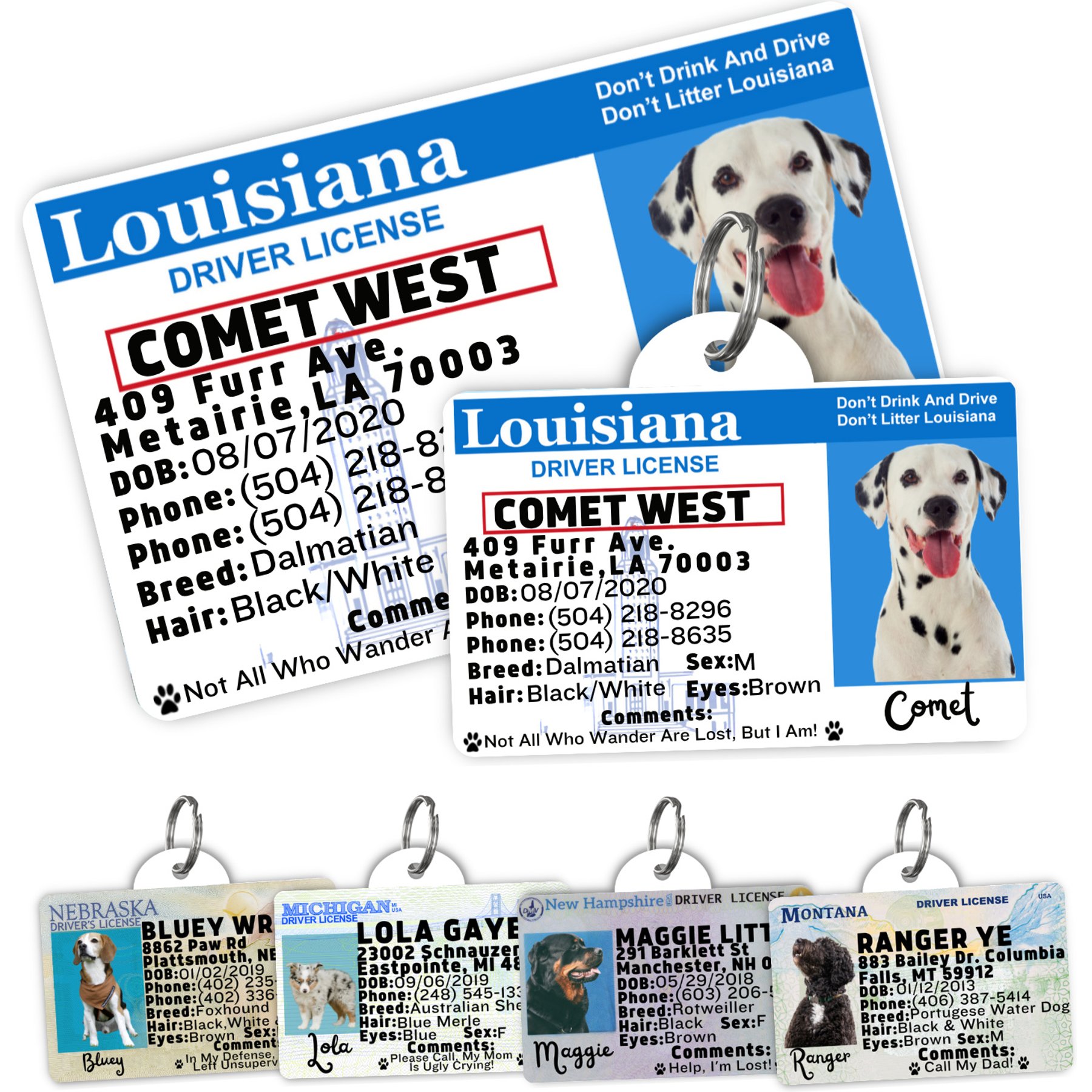 PawFurEver Pet ID License-Style Dog Tag & Wallet Card, Louisiana